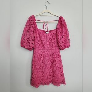 Lucy Paris, Fuchsia, Lace Dress, Medium , NWT